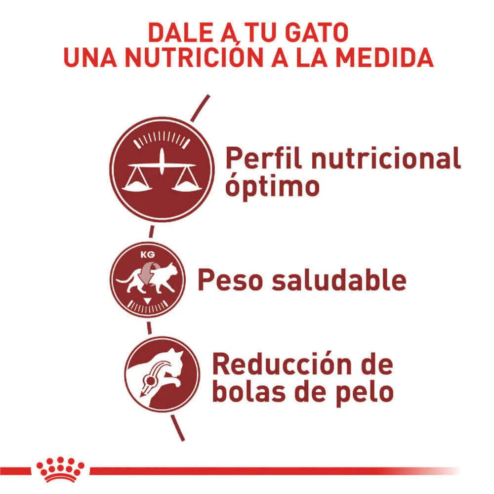 Alimento para gato -Royal Canin Adulto Fit Royal Canin