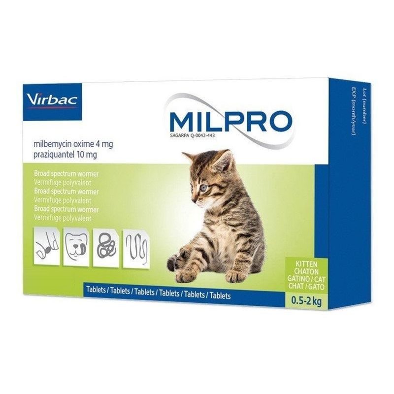 Milpro-Gatos-Kitten-0.5-a-2-KG Milpro-Gatos-Kitten-0.5-a-2-KG