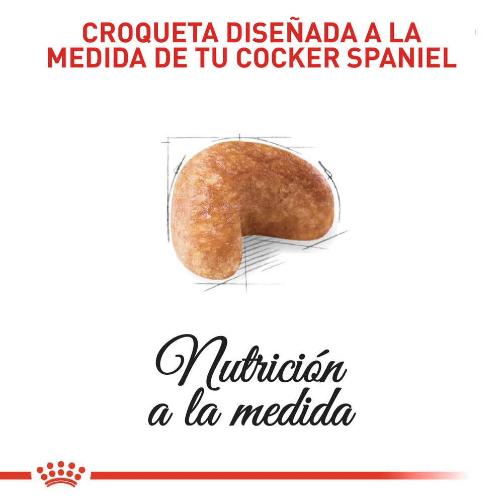 Alimento para perro -Royal Canin Cocker2 Alimento para perro -Royal Canin Cocker