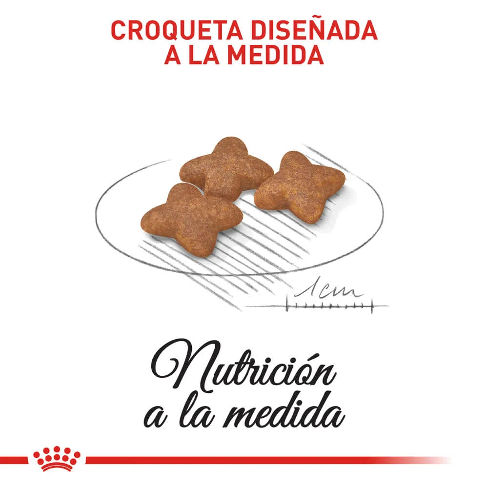 Alimento para perro -Royal Canin Mini Adulto4