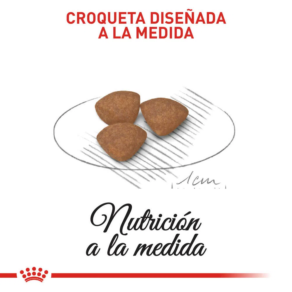 Alimento para perro -Royal Canin Mini Puppy Alimento para perro -Royal Canin Mini Puppy
