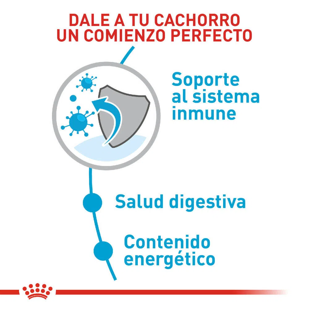 Alimento para perro -Royal Canin Mini Puppy2 Alimento para perro -Royal Canin Mini Puppy