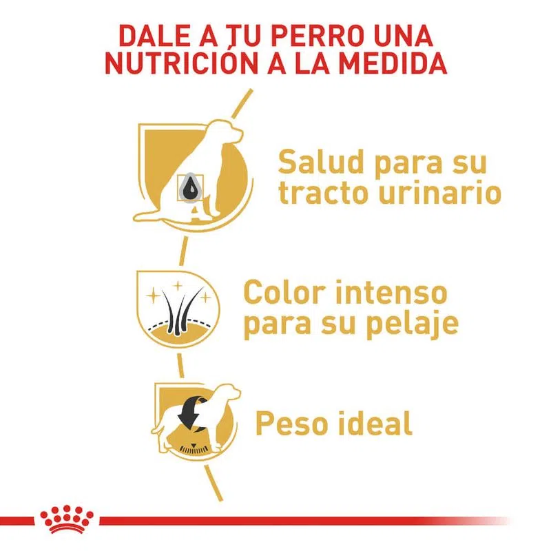 Alimento para perro -Royal Canin Miniature Schnawzer