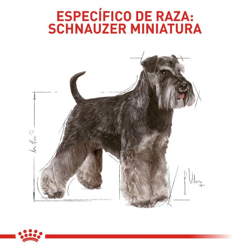 Alimento para perro -Royal Canin Miniature Schnawzer