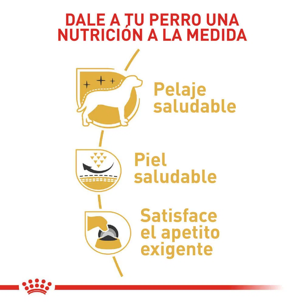 Alimento para perro -Royal Canin Westhighland White Terrier Alimento para perro -Royal Canin Westhighland White Terrier
