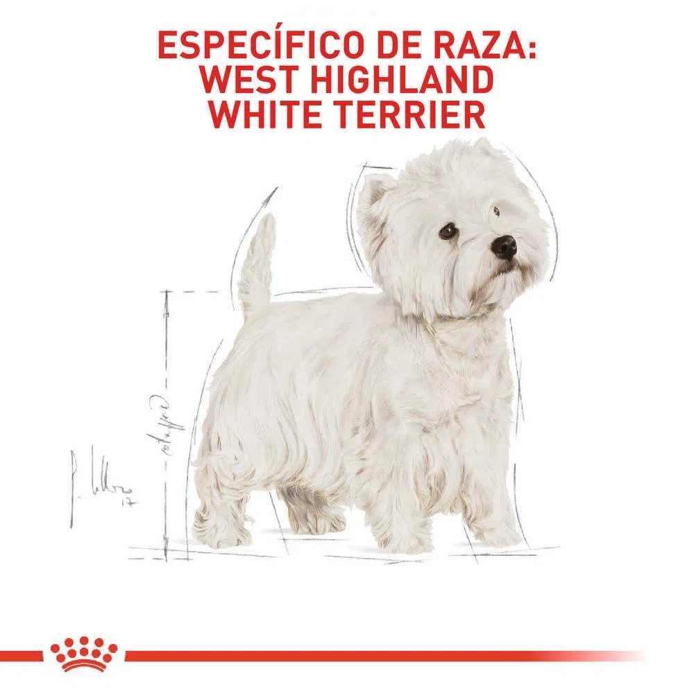 Alimento para perro -Royal Canin Westhighland White Terrier3 Alimento para perro -Royal Canin Westhighland White Terrier