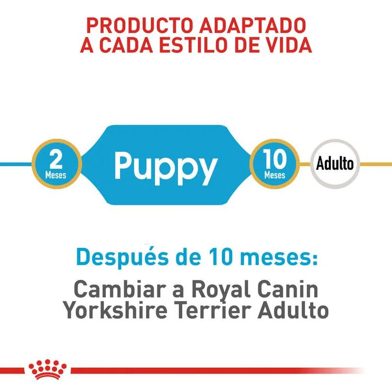 Alimento para perro -Royal Canin Yorkshire Junior3
