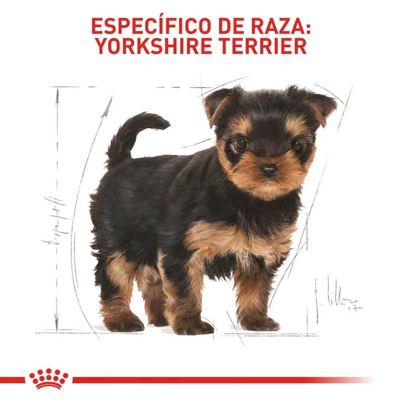 Alimento para perro -Royal Canin Yorkshire Junior5