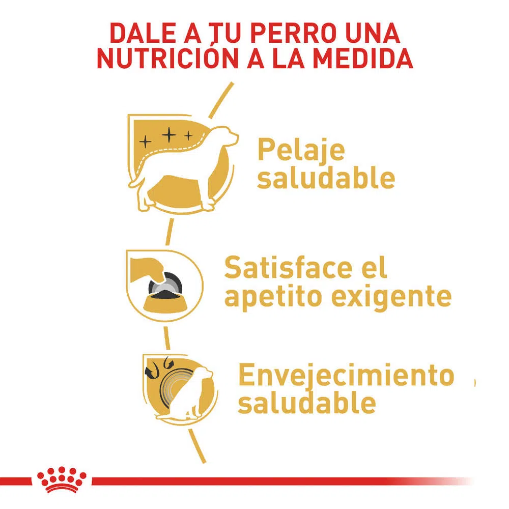 Alimento para perro -Royal Canin Yorkshire Terrier