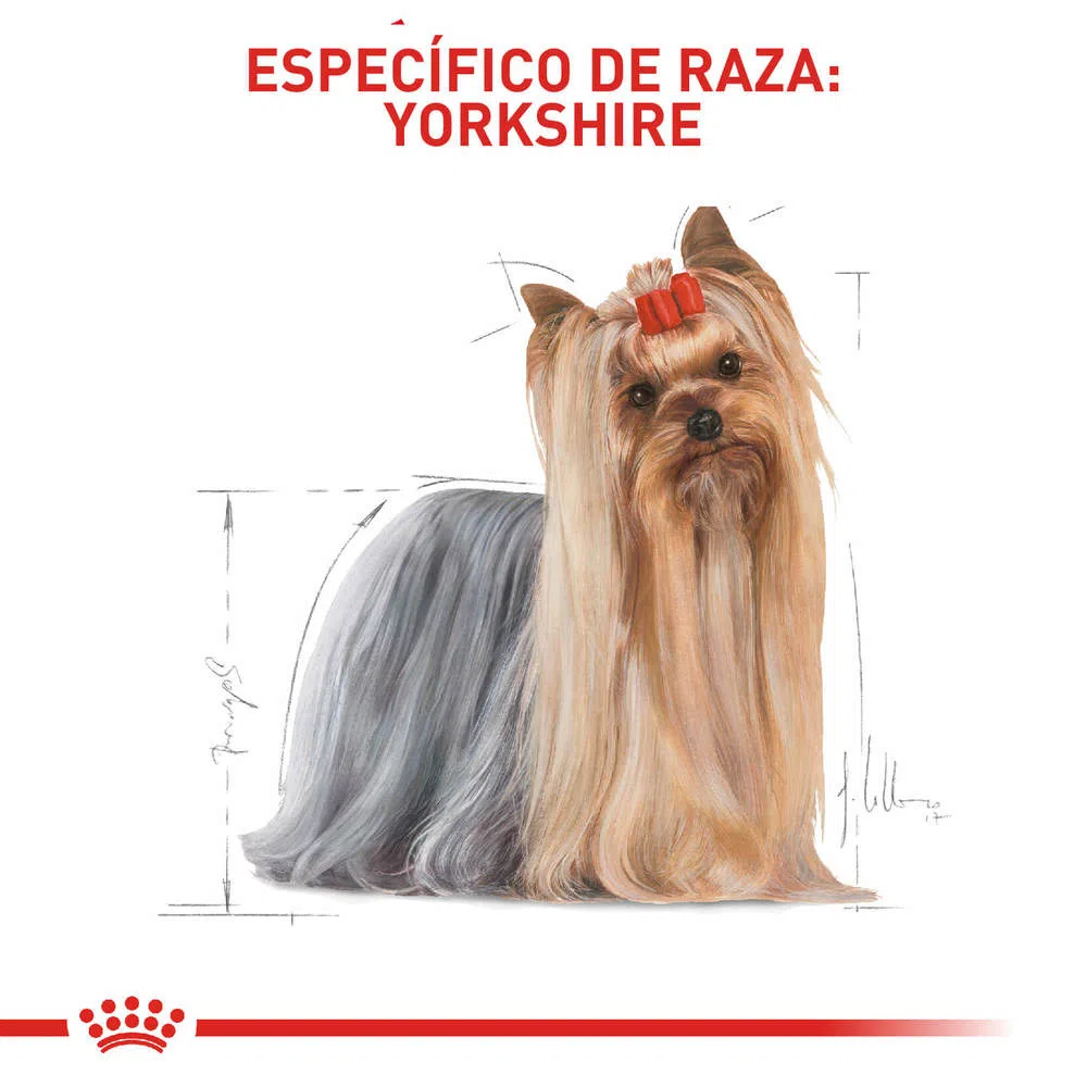 Alimento para perro -Royal Canin Yorkshire Terrier