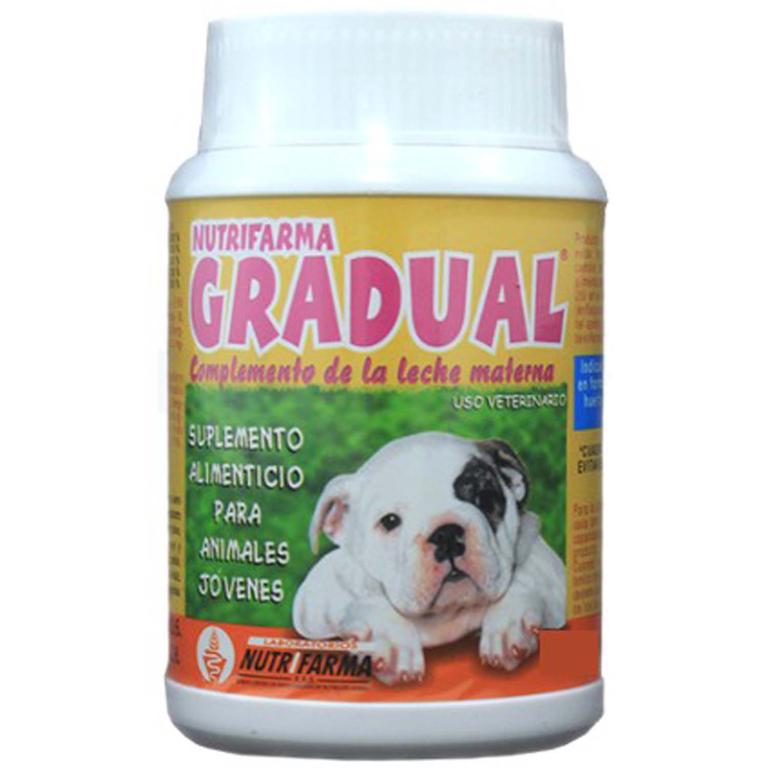 Gradual complemento leche materna