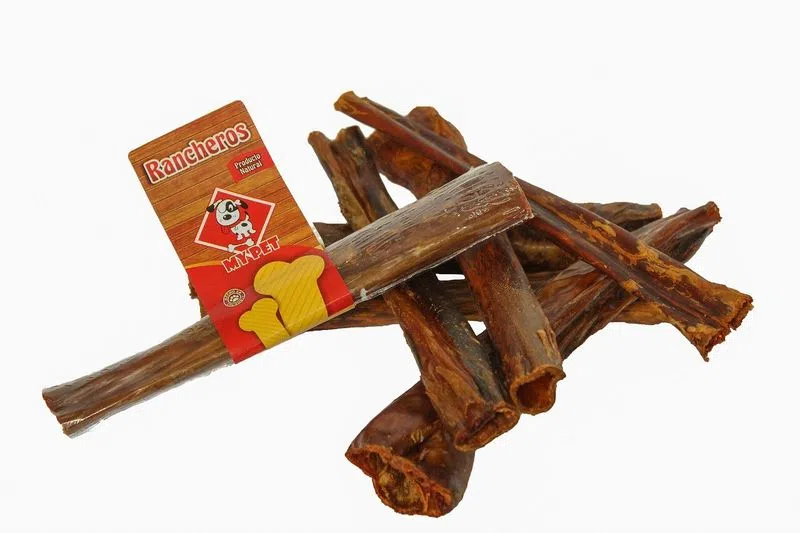 Palito Ranchero My Pet Para Perro
