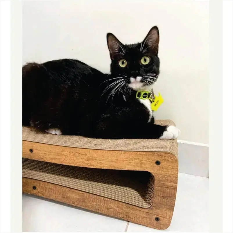 Rascador INFINITO pequeño