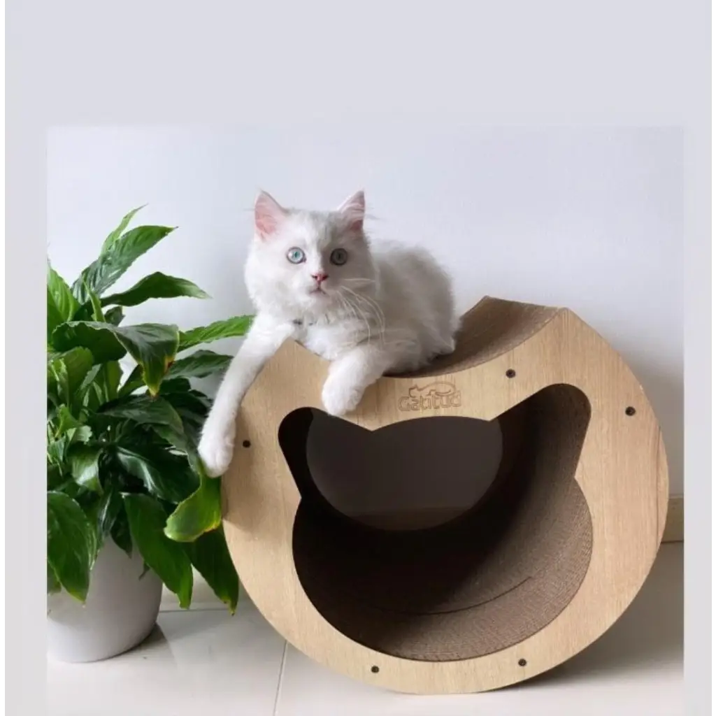 Tunel Rascador Grande Para Gato