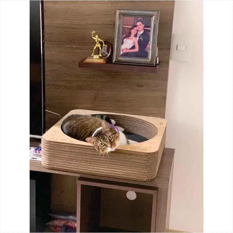 Rascador Cama Redonda Para Gato1 Rascador Cama Redonda Para Gato