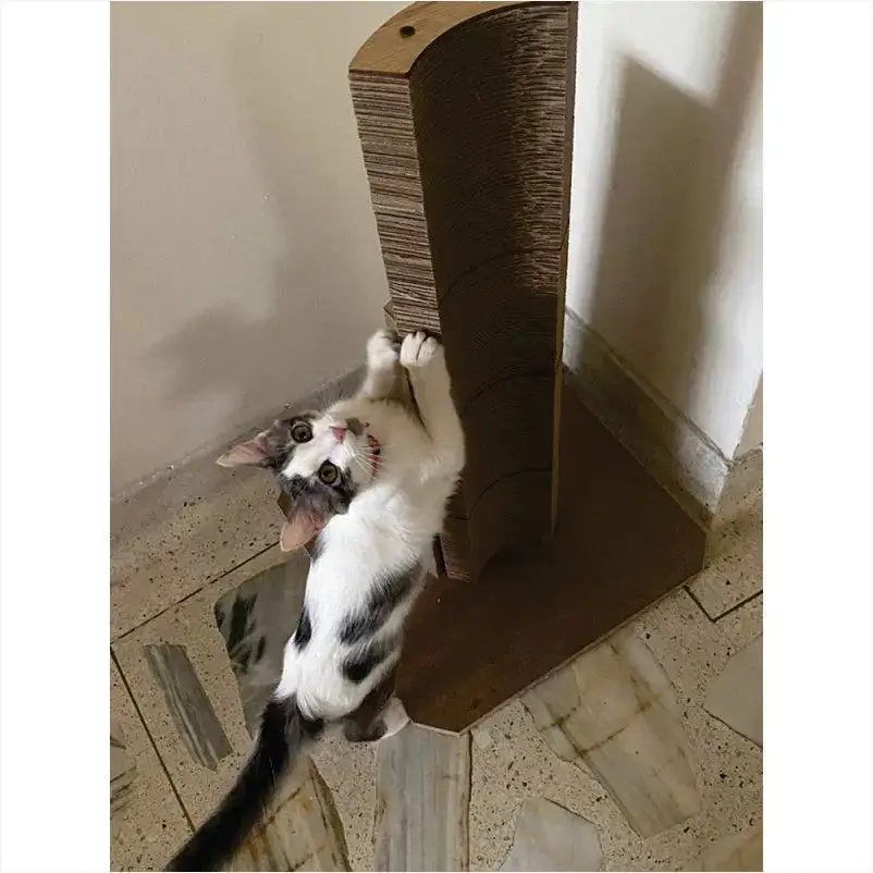 Rascador TORRE Tres cuerpos Redonda5