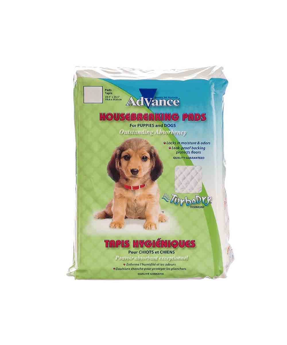 Tapete Entrenamiento Advance Para Perro Tapete Entrenamiento Advance Para Perro