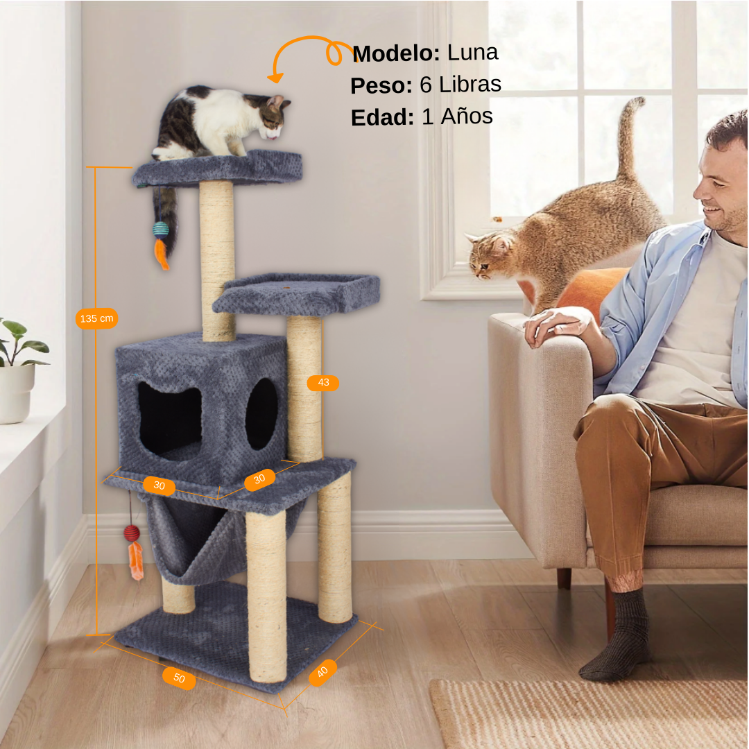 Gimnasio Rascador Dos Torres foto 2