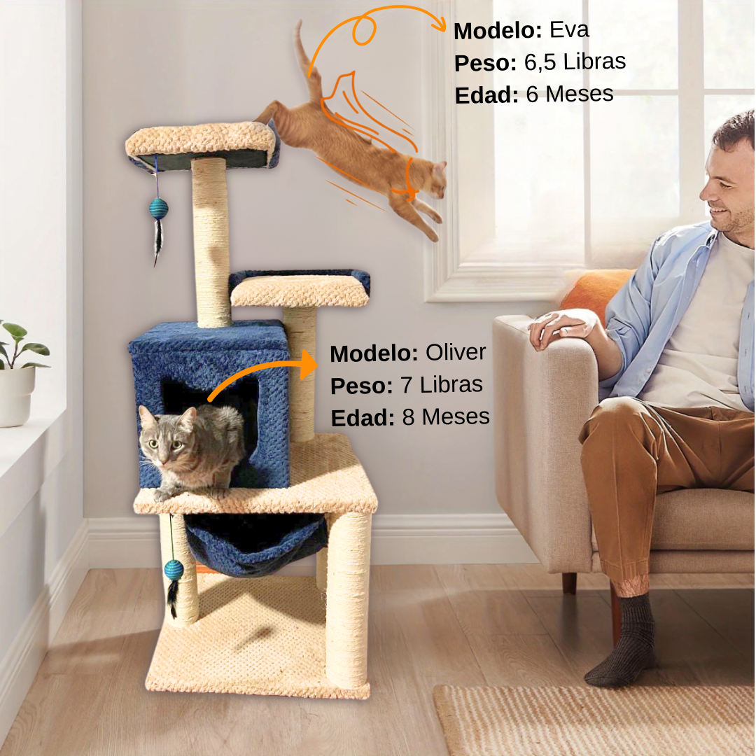 Gimnasio Rascador Dos Torres foto 1