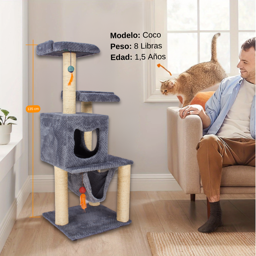 Gimnasio Rascador Dos Torres en Petinos