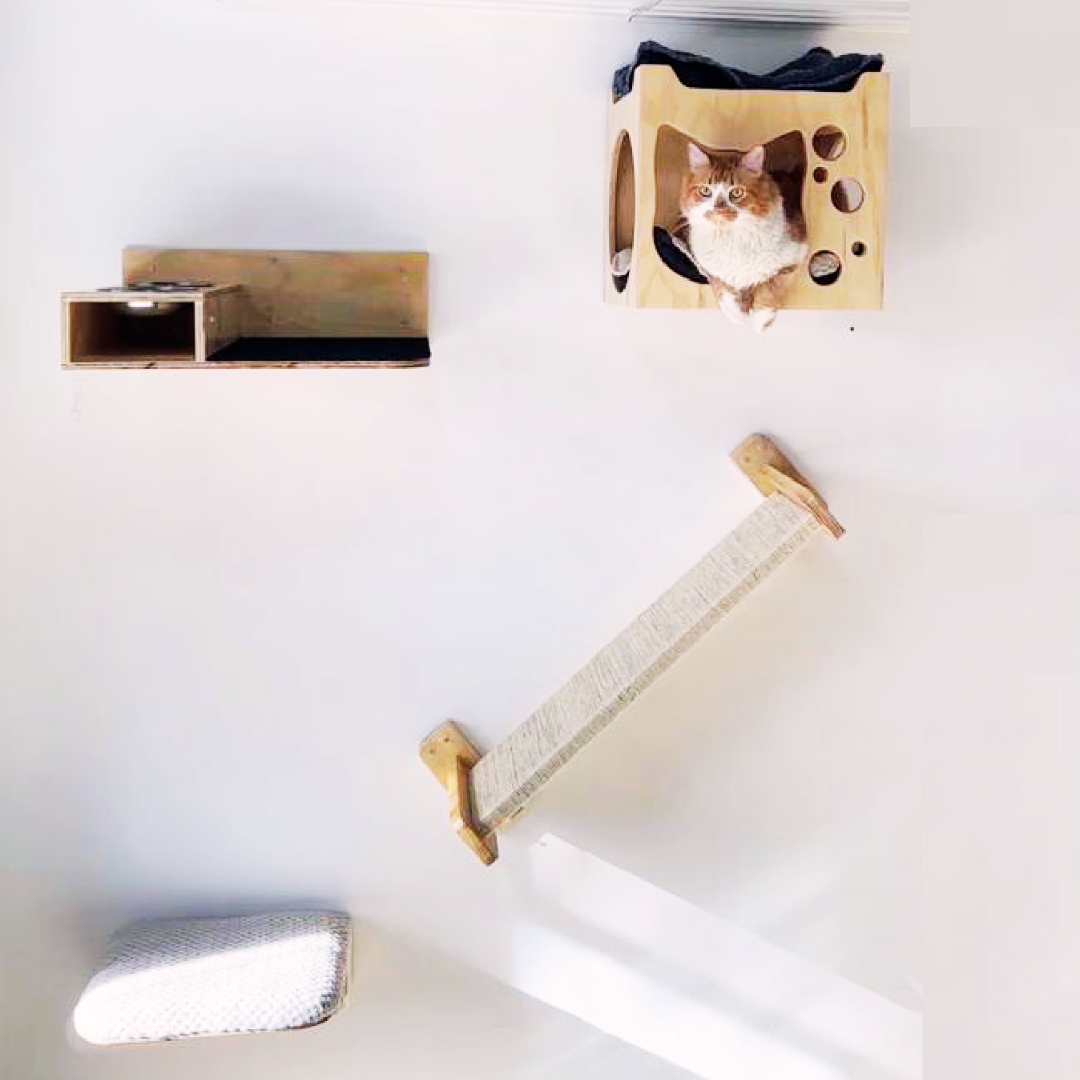 Gimnasio de pared para gato, comedero de pared para gatos, rampas de pared para gatos.